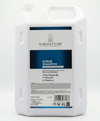 Mentor Scrub Shampoo Anti-Dry Dandruff 4lt